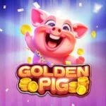 Golden Pig 777