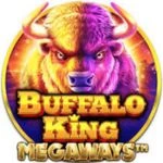 Buffalo King