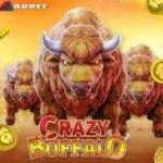 Crazy Buffalo 777