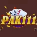 Pak 111 Game